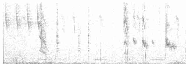Сероголовый неразлучник - ML616241958