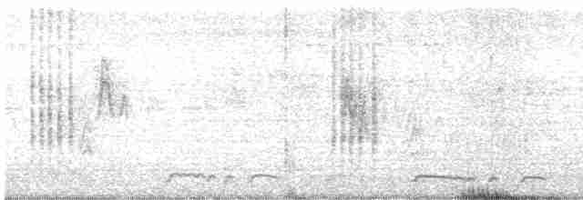 Oriental Reed Warbler - ML616242897