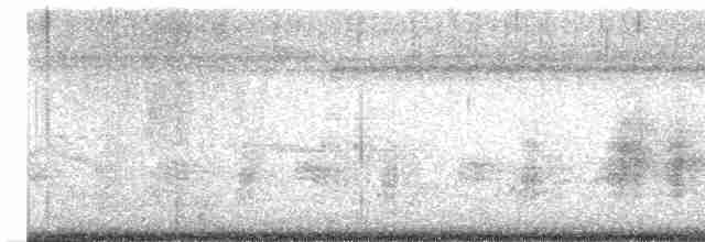 Clamorous Reed Warbler - ML616243006