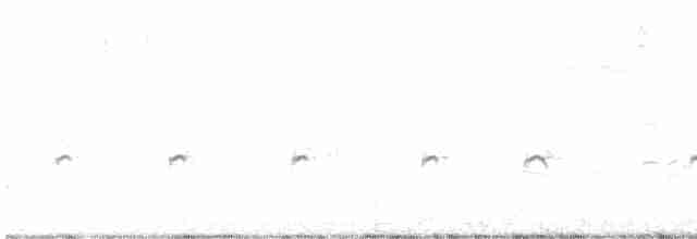 Little Ringed Plover - ML616243135