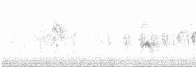 Piquituerto Aliblanco - ML616245285