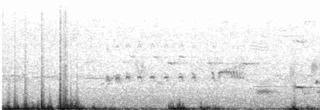 chřástal virginský (ssp. limicola/friedmanni) - ML616245725