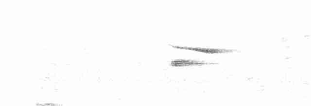 Lesser Antillean Euphonia - ML616248361