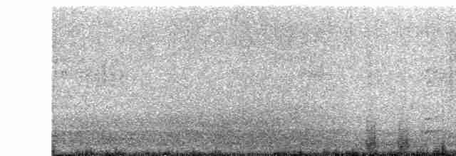Чёрная казарка (hrota) - ML616248491