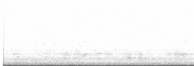 אווז קצר-מקור - ML616251905