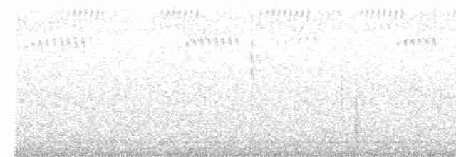 Королаз плямистобокий - ML616252028