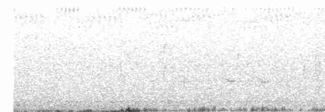 Pied Butcherbird - ML616252109