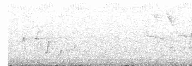 Серебряная белоглазка - ML616252174