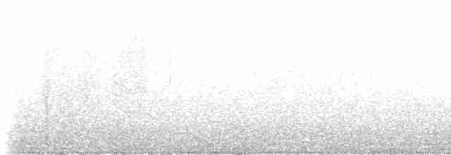 Troglodyte des forêts - ML616253172