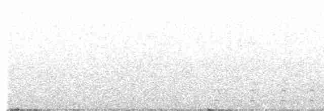 hvitbrynsvartspett - ML616253214