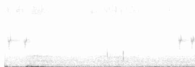 Шишкар ялиновий - ML616253882