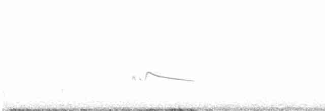 Рыжебрюхий фиби - ML616253921