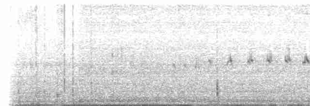 Scale-throated Earthcreeper - ML616257998