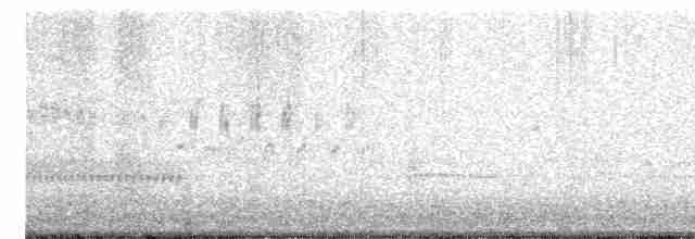 Kara Gözlü Junko (hyemalis/carolinensis) - ML616258014