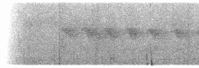 Chevêchette à tête grise - ML616259005