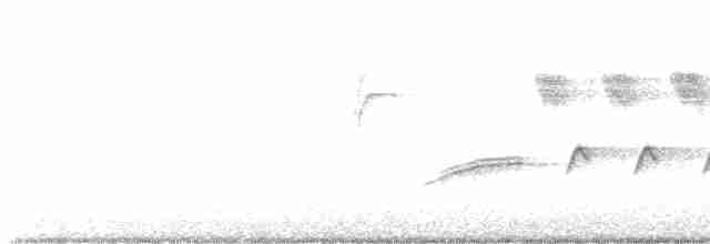 Длиннохвостый крапивник - ML616262909