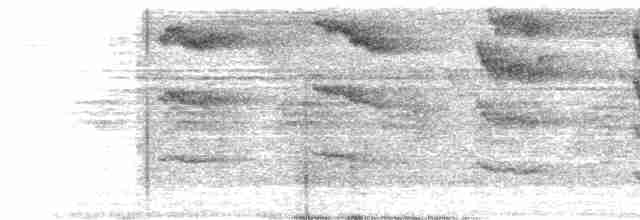 Ерміт-серподзьоб темнохвостий - ML616265102