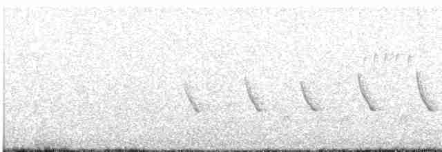 langhaleskredderfugl - ML616265287