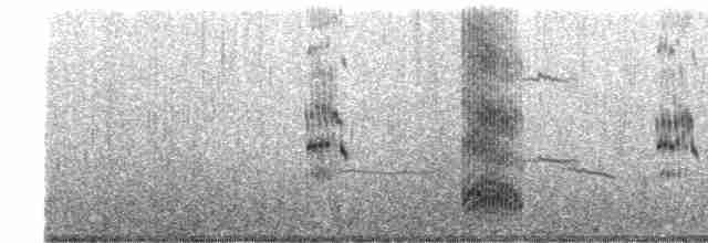 Крячок жовтодзьобий - ML616266815