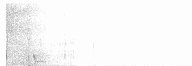 Large-tailed Nightjar - ML616267612