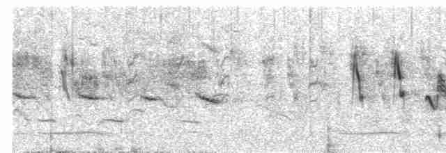 australlerke (javanica gr.) - ML616268443