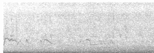 Свиристелевый сорокопут - ML616268749