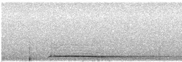 Urubi arrunta - ML616270971