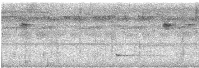 Great Eared-Nightjar - ML616272702