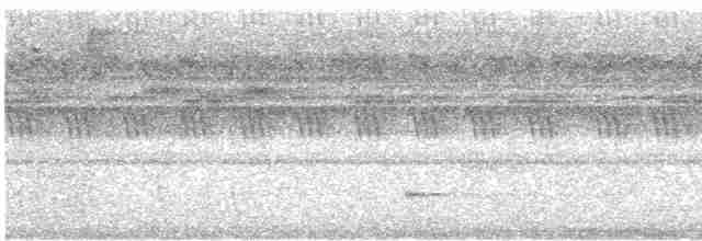 Great Eared-Nightjar - ML616272703