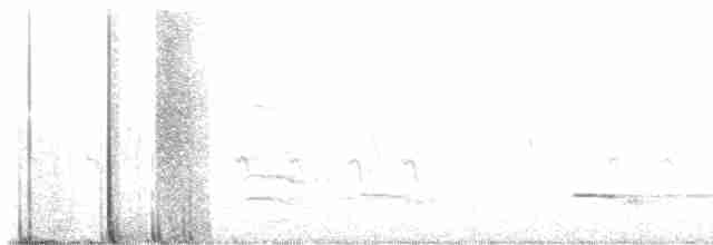 Шишкар ялиновий - ML616272713