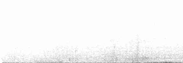 Ornate Tinamou - ML616273090