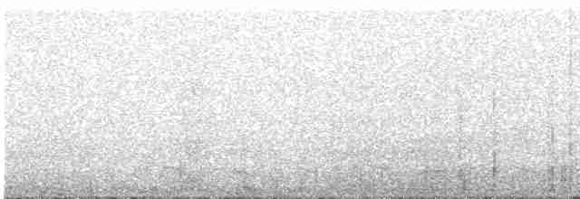 Puna Tinamou - ML616273093