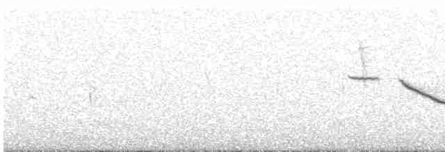 Аймарская земляная горлица - ML616273120