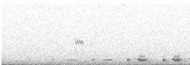 Серогрудый зобатый бегунок - ML616273156
