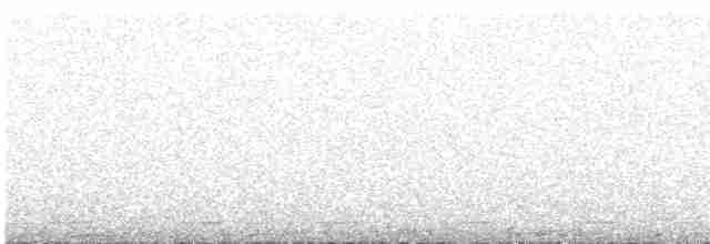 Серогрудый зобатый бегунок - ML616273157