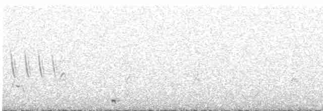 Серогрудый зобатый бегунок - ML616273158