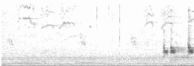Chalk-browed Mockingbird - ML616273888