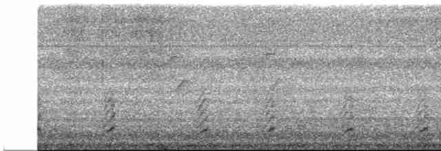 Желтоклювый чирок (flavirostris) - ML616274155