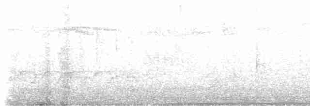 Paruline verdâtre - ML616276819