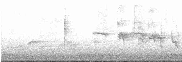 Blyth's Reed Warbler - ML616278114