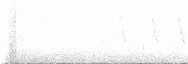 Риджвея оливкова - ML616278144
