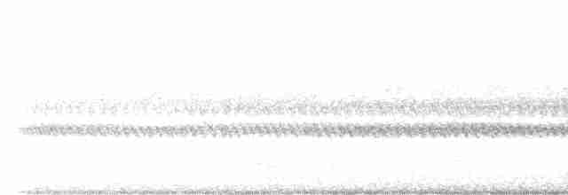 Large-tailed Nightjar - ML616278606