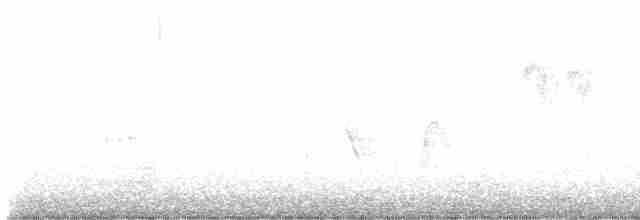 strakapoud osikový - ML616278773