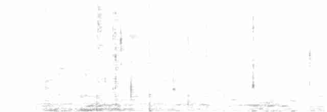 Great Antshrike - ML616279247