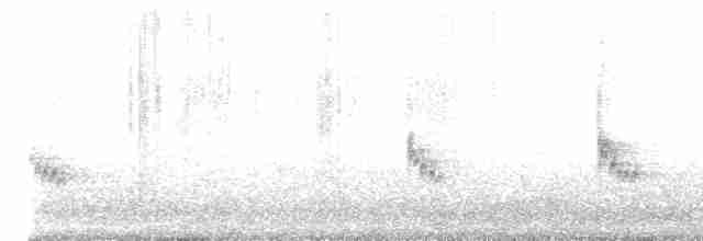 Каролинский крапивник - ML616280684