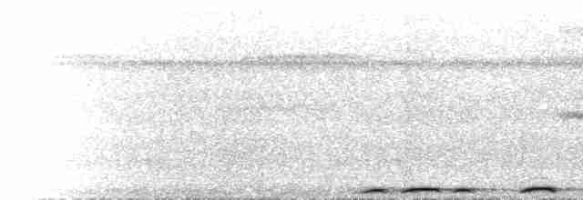 holub žlutozobý (ssp. prasinorrhous) - ML616281246