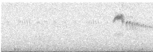Серпокрилець еритрейський - ML616281571