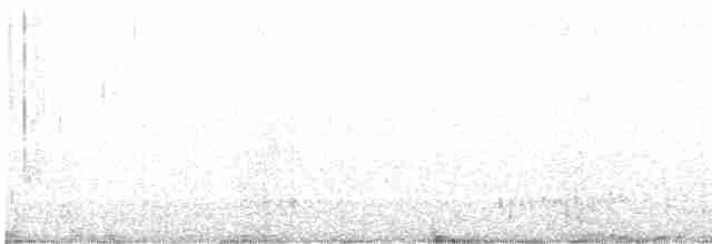 Kara Tepeli Gri Karıncaavcısı - ML616282775