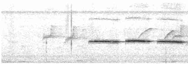 Spot-necked Babbler - ML616283474