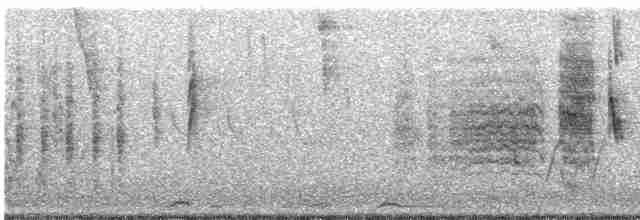 Kara Kuyruklu Bitkuşu - ML616283651
